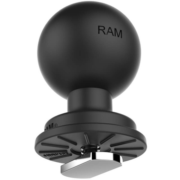 RM-317.jpg