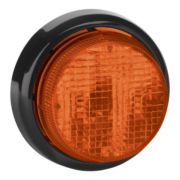 PL-1564_Fahrtrichtungsanzeiger_217.jpg
